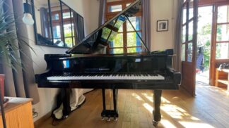 Piano 1/2 queue W. Hoffmann P-206