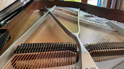 Piano 1/2 queue W. Hoffmann P-206 – Image 7