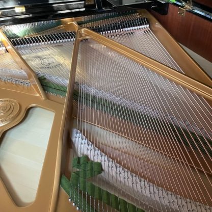 Piano 1/4 de queue W. Hoffmann Tradition 186 – Image 6