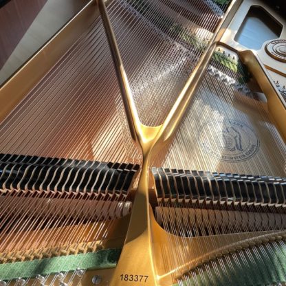 Piano 1/4 de queue W. Hoffmann Tradition 186 – Image 7