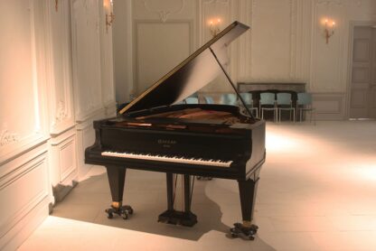 Piano 3/4 de queue Gaveau 227 cm – Image 4