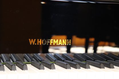 Hoffmann T177